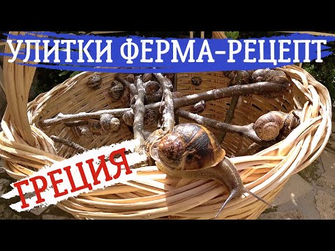 Видео: Ферма улиток. Рецепт приготовления. #Алёна Фортунаки🇬🇷Крит-Гид