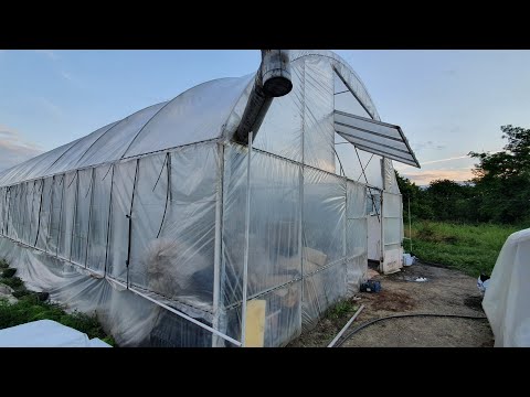 Видео: Большая теплица 42×10м, полный обзор с размерами и материалами.