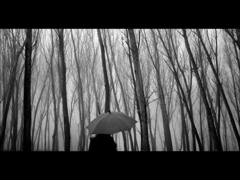 Видео: ДИМИДИУМ - ЧАДЪР (прод. ЧЕРНОГЛЕД)