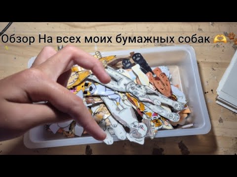 Видео: 🫶🐾Обзор на всех моих бумажных собак🐾🫶 《Есть и старые....🤔》#бумажныесобаки