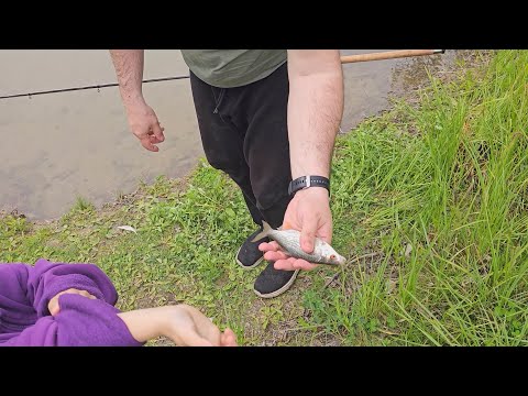 Видео: Рыбалка с сыном на пруду