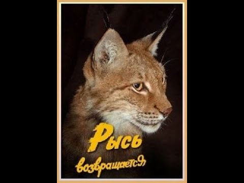 Видео: Рысь возвращается (1986)