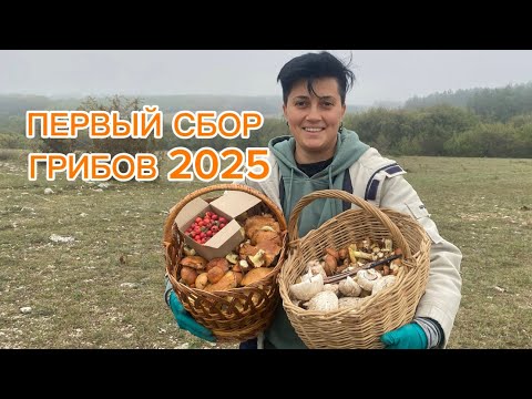 Видео: пошли грибы! Молоденькие маслята и шампиньоны ❤️‍🔥 