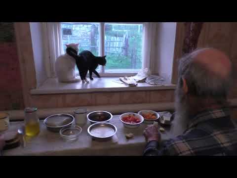 Видео: Завтрак не в городе.  13. 09. 2022