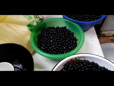 Видео: джем из санберри. Варенье из санберри.