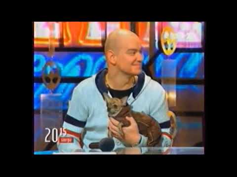 Видео: Все заставки канала (1+1, 01.09.2011 - 28.02.2013) (2/2)