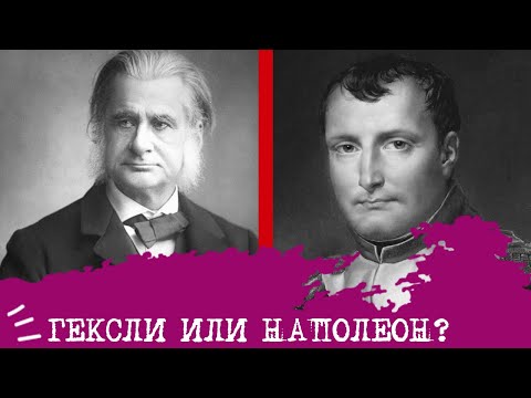Видео: Гексли (ИЭЭ) или Наполеон (СЭЭ)⚖️