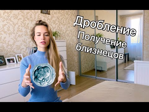 Видео: Эмбриогенез  Дробление/ Получение близнецов