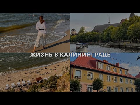 Видео: Жизнь в Калининграде // какие плюсы и минусы я выделила, что узнала о городе