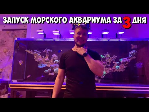 Видео: Запуск морского аквариума за 3 дня с кораллами 🪸 и рыбой 🐠🐡