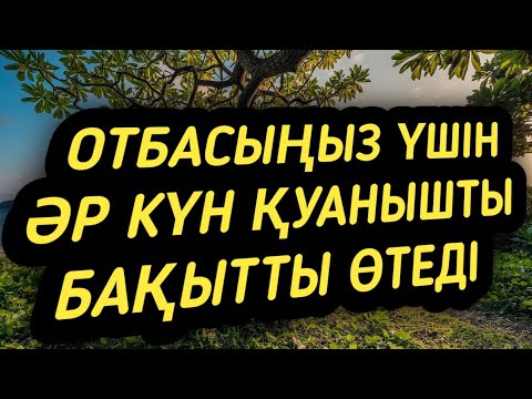 Видео: Отбасыңызбен бақытты ғұмыр кешу үшін