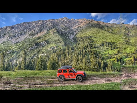 Видео: 🧡ТигрТанк на Текесе