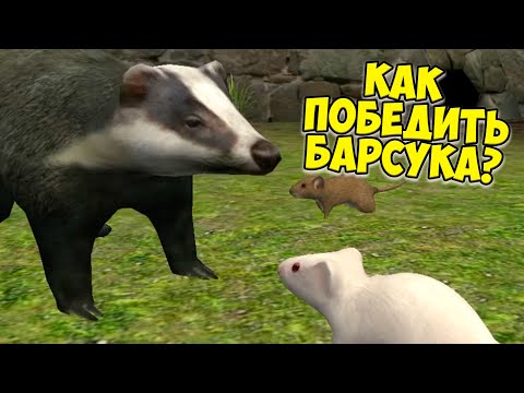 Видео: 😍СИМУЛЯТОР МЫШИ🐁Кошки мышки🐭Мышь победила барсука и кота