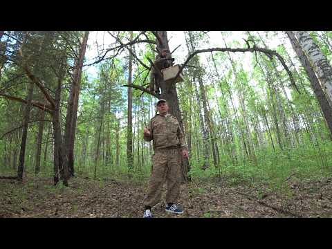 Видео: КАК ПОЙМАТЬ БРОДЯЧИЙ РОЙ, СЕКРЕТЫ СТАРОГО РОЕЛОВА, УЛОВИСТЫЕ МЕСТА