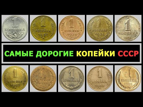 Видео: СКОЛЬКО СТОИТ КОПЕЙКА СССР | ВСЕ СТОЯЩИЕ КОПЕЙКИ СССР | ЦЕНА 1 КОПЕЙКИ ВСЕХ РАЗНОВИДНОСТЕЙ