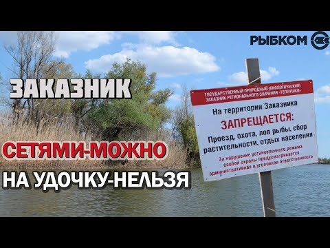 Видео: Дельта Волги. Сетями можно, на удочку нельзя!