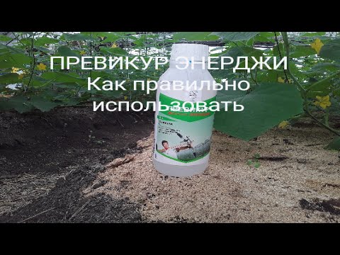 Видео: Превикур Энерджи. Как правильно использовать?? Когда?? #превикур #землядел #Выращивание