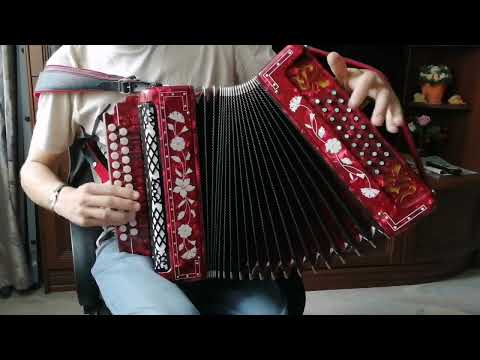 Видео: Досада. Гармонь заказная фа диез