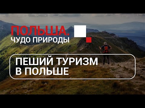 Видео: Польша. Чудо природы - Пеший туризм. Игорь Чарный