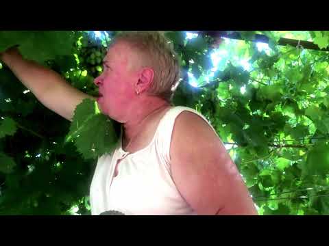 Видео: Видео-влог наших с сестричкой-близняшкой, дел по дому. Уютное домашнее хозяйство и готовка вкусного