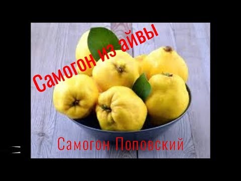 Видео: Самогон из Айвы - самогон Поповский