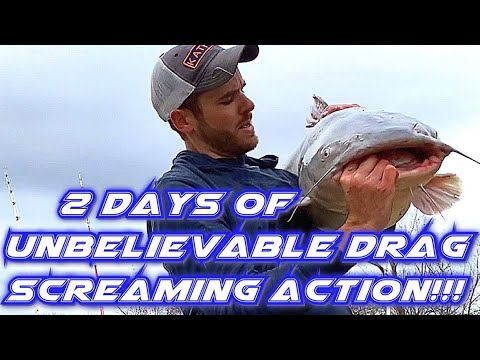 Видео: Зимняя тактика ловли на синего сома. Жаркая рыбалка на синего сома!