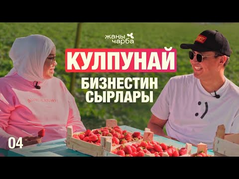 Видео: КУЛПУНАЙ БИЗНЕСТИН СЫРЛАРЫ | Жаңы Чарба