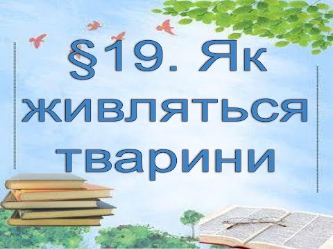 Видео: §19📚 АВДІОПІДРУЧНИК. Пізнаємо природу. 6 кл. Д.Біда. Як живляться тварини