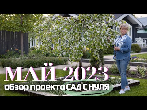 Видео: Май 2023. Обзор проекта САД С НУЛЯ