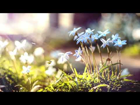 Видео: Ты любовь моя, Кавер на песню Марта Бабаяна ￼