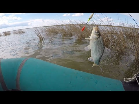 Видео: озеро УЕЛГИ! ЛОВЛЯ КАРАСЯ,с лодки на поплавок. МАЙ 2024.