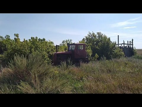 Видео: Северный Казахстан.Забытое село или ещё кто-то живёт.