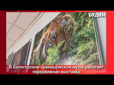 Видео: Музей Белогорска приглашает на выставку