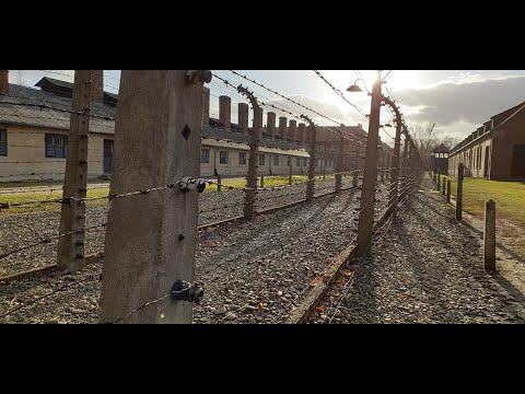 Видео: Зад стените на Аушвиц - Професия турист