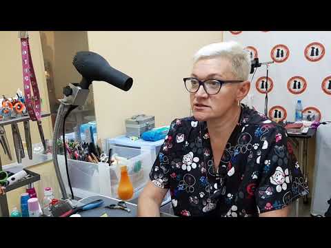 Видео: ГРУМЕР - Профессия от первого лица