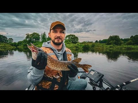 Видео: РАЗГРОМ ЗАПАДНОЙ ДВИНЫ!ЛОВИМ ТРОФЕЙНУЮ ЩУКУ С ЛОДКИ! #fishing #щука