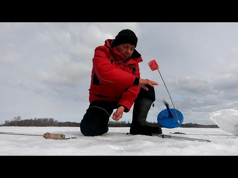 Видео: Жерлицы весной. Стабильный клев! Карелия, Онего, Заонежье.