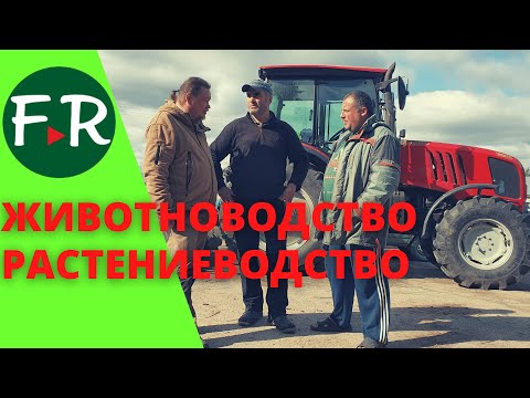 Видео: Фермерский бизнес. Молочный и мясной скот. 2000 га земли под сенокос и зерновые. КФХ Овсянникова.