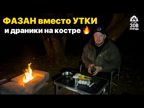 Видео: Охотился на утку - а добыл трофейного фазана! Готовка на природе, драники и яичница