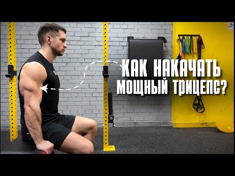 Видео: Как накачать мощный трицепс?