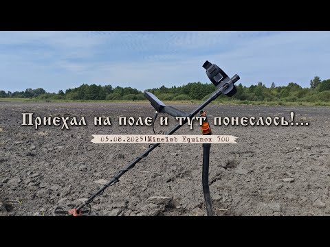 Видео: Приехал на поле и тут понеслось!