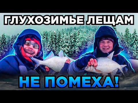 Видео: Рыбалка на леща в Глухозимье! Что делать, как поймать заветную рыбу?