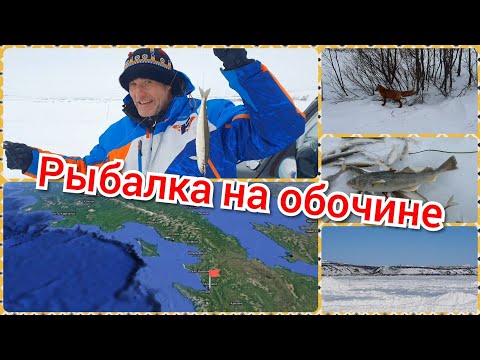 Видео: Рыбалка на обочине. Тиличики.