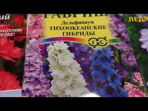 Видео: Дельфиниум от посева до цветения