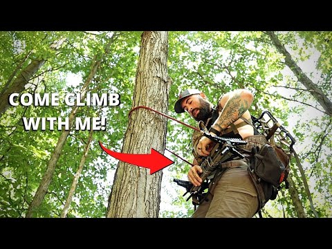 Видео: Мой комплект для охоты с седлом с нуля!