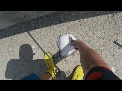 Видео: Сафрида наедрява