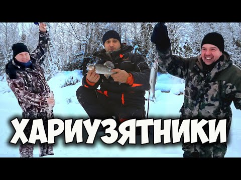 Видео: Я ОФИГЕЛ!!! В ДЕКАБРЕ И ТАКОЙ ХАРИУС \ НУ ОЧЕНЬ РЖАЧНАЯ ПОЛУЧИЛАСЬ РЫБАЛКА