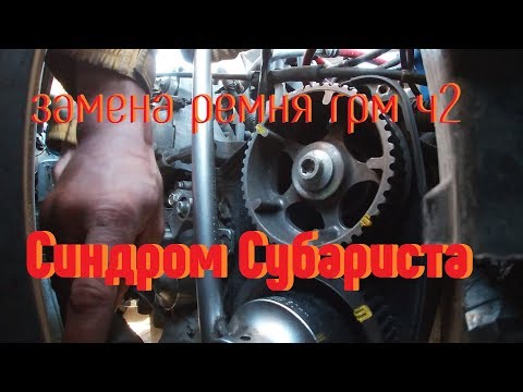 Видео: Синдром Субариста - Укушенный сам меняет ГРМ ч2