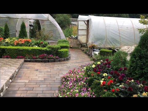 Видео: Про квіти 🥀 як і обіцяв