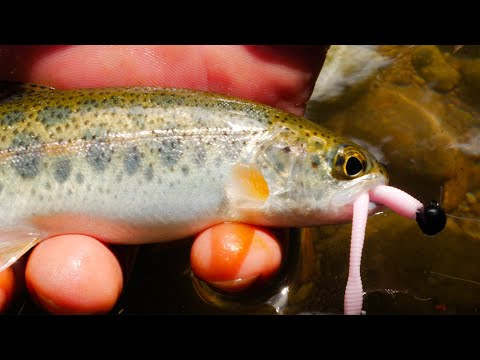 Видео: ЛОВЛЯ ФОРЕЛИ Микрочерви в небольших ручьях и реках.